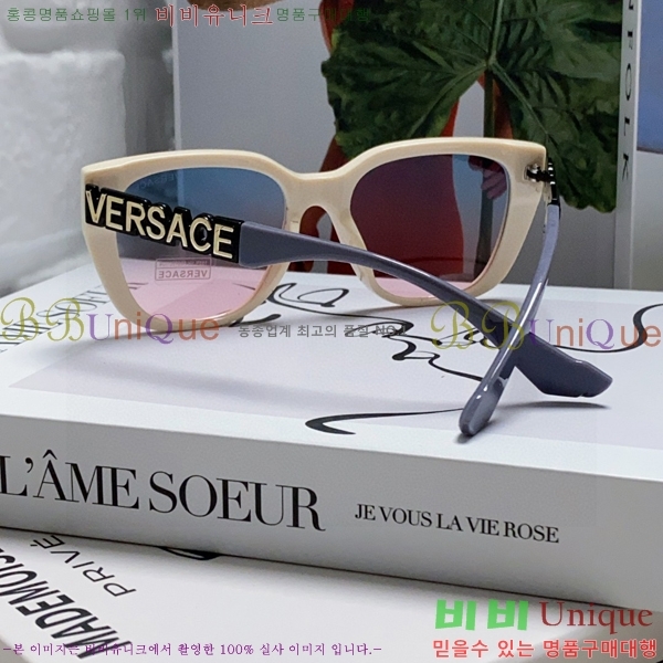 ������ü ���۶� VE102295-2