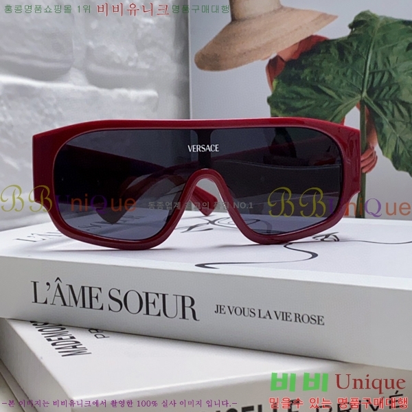 ������ü ���۶� VE102296-2