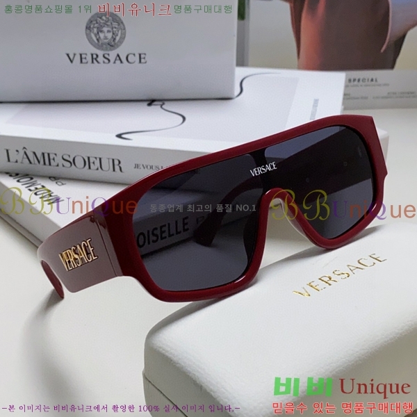 ������ü ���۶� VE102296-2