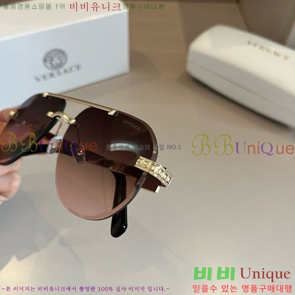 ������ü ���۶� VE102298-2