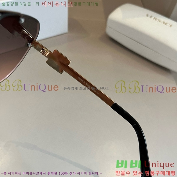 ������ü ���۶� VE102298-2