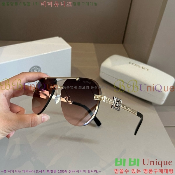 ������ü ���۶� VE102298-2