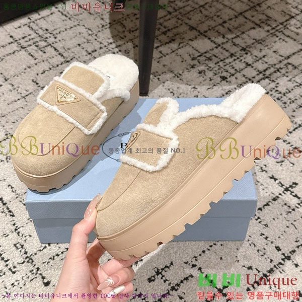 ���� ����� �� ������ P5560221-4