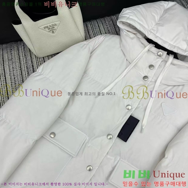 ���� ����� �ٿ� �е� PA245439-2