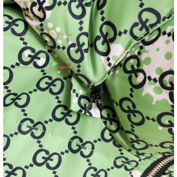 ���� ���� �ٿ� �е� GU538647