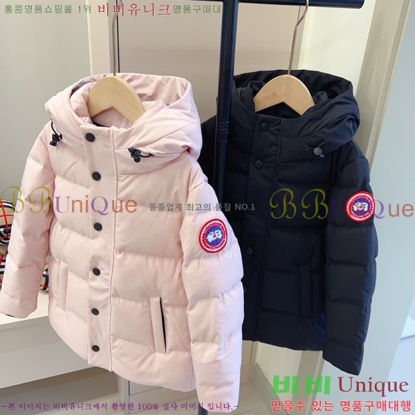 Ű ĳٱ ٿ е CN3681634