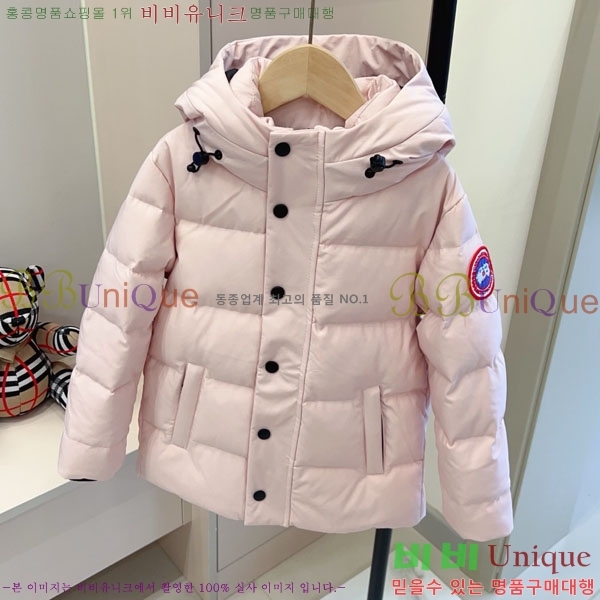 Ű ĳٱ ٿ е CN3681634