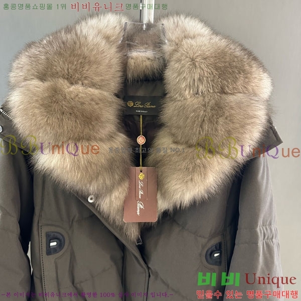 ���� �η�**�� �ٿ� �е� LP33345086-17