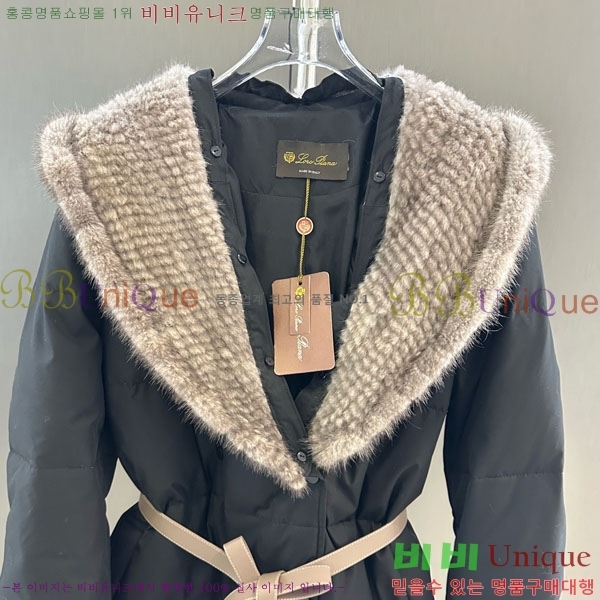 ���� �η�**�� �ٿ� �е� LP33345086-20