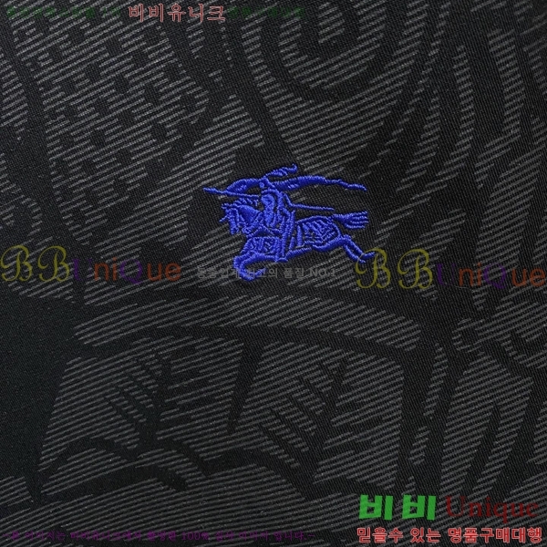 ���� ������ ������ B8452975-2